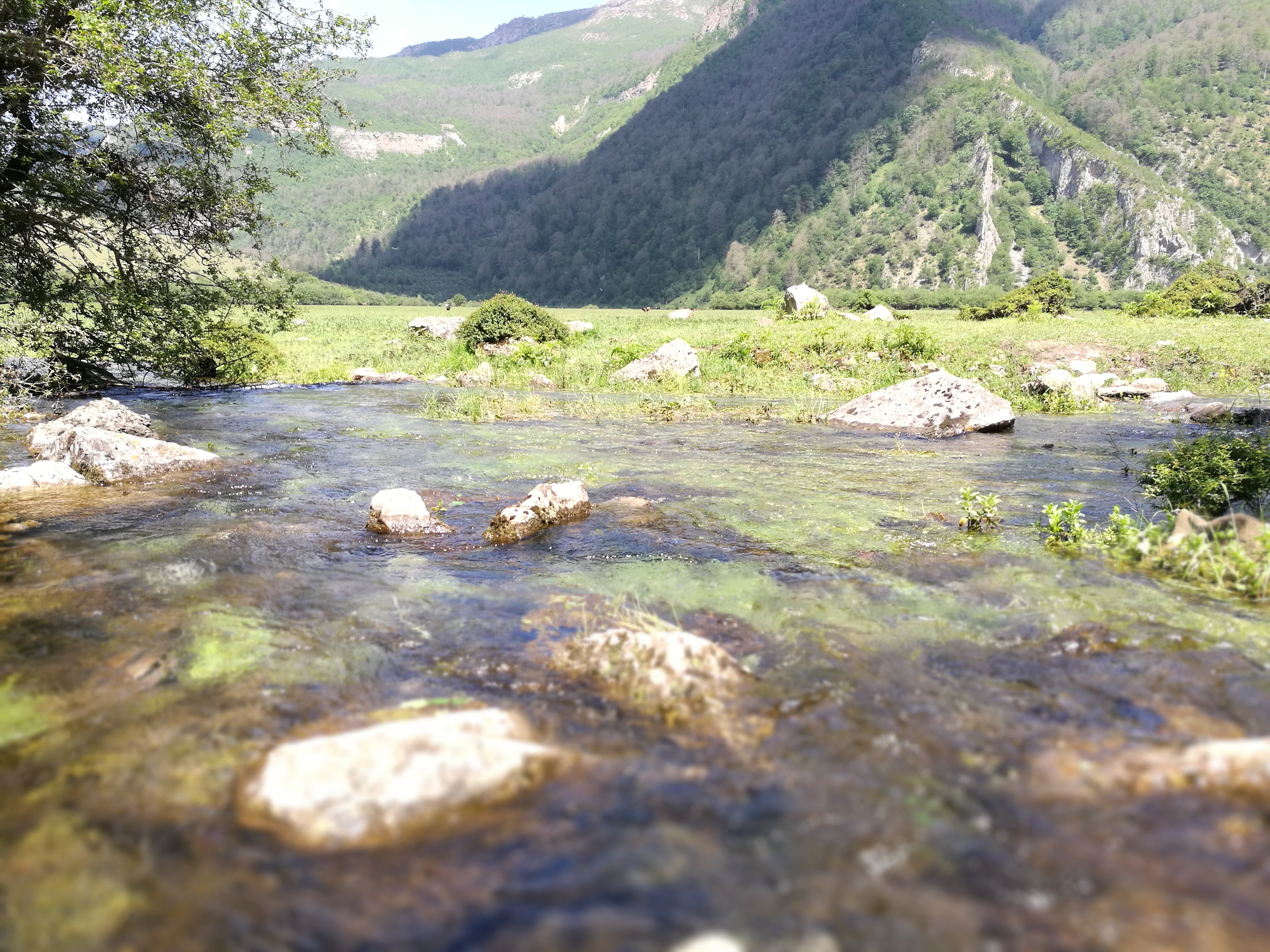 سفرنامه